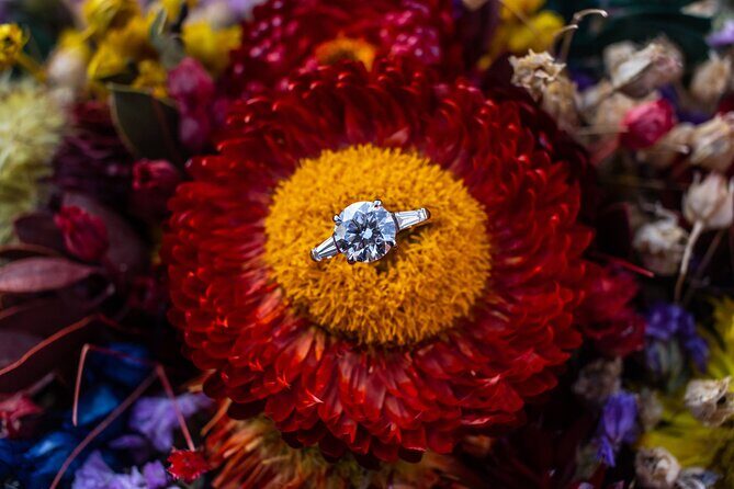 Marriage proposal in San Miguel - The Value of Professional Planning and Photography