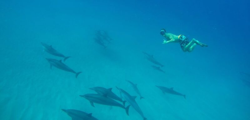 Marsa Alam: Dolphin-Watching Cruise With Snorkeling & Lunch - Nearby Attractions in Marsa Alam