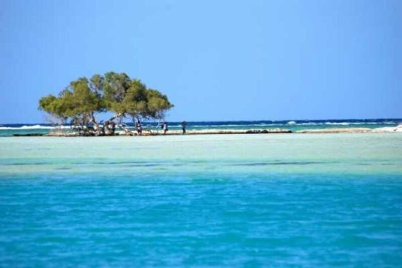 Marsa Alam: Hamata Islands Snorkeling Trip With Lunch - Good To Know