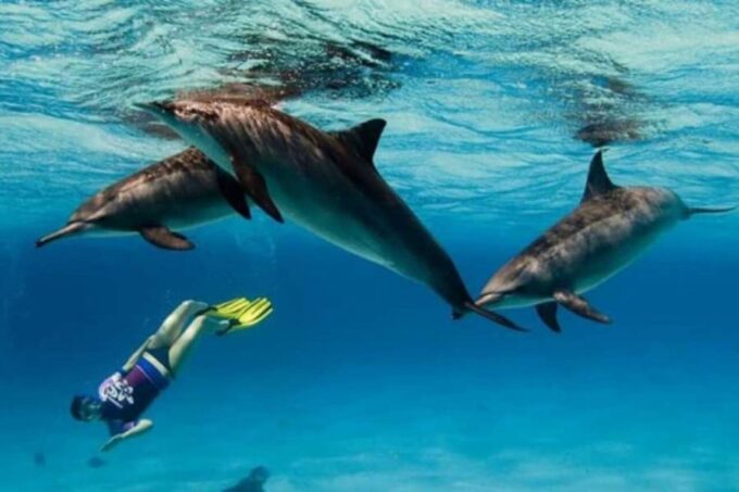 Marsa Alam: Hamata Islands Snorkeling Trip With Lunch - Snorkeling Sites Exploration