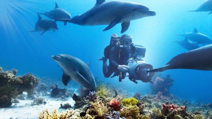 Marsa Alam: Sataya Reefs Dolphin Snorkel Cruise With Lunch - Essential Packing List