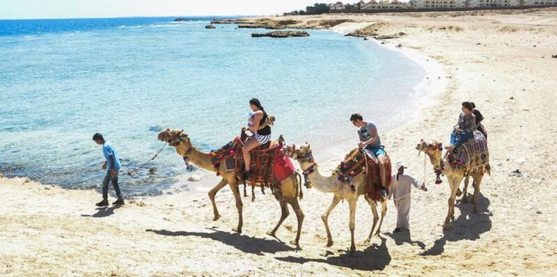 Marsa Alam: Sea and Desert Camel Riding Tour - Experience Highlights