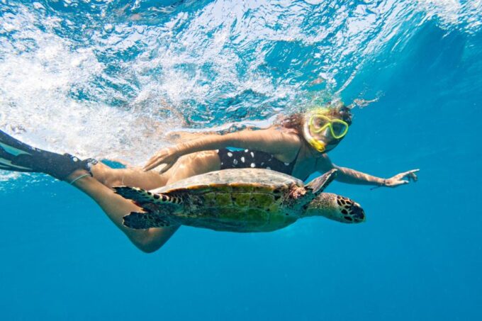 Marsa Alam: Snorkeling Boat Trip With Sea Turtles and Lunch - Booking Information