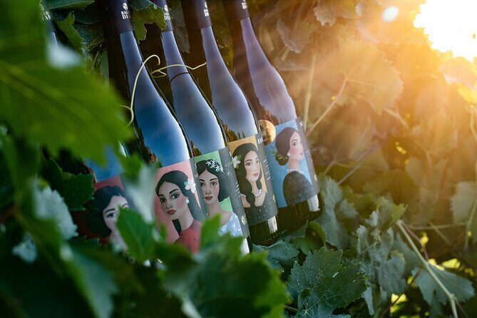 Marsala Tasting of 5 Sicilian organic wines - Visiting the Cellar: From Grape to Glass