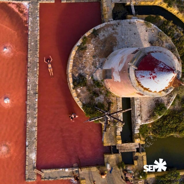 Marsala: Wellness in the Pink Salt Pans With Dinner - Key Points