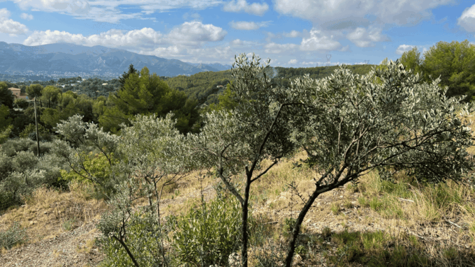Marseille - Allauch: Between Tradition, History and Nature - Allauch: Charming Village, Traditions, and Local Mills