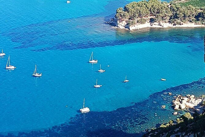 Marseille and Cassis Private Full-Day Tour - The Practicalities and Value
