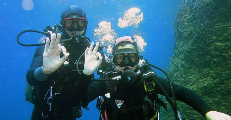 Marseille: Baptism of Diving on the Island of Frioul - Key Points