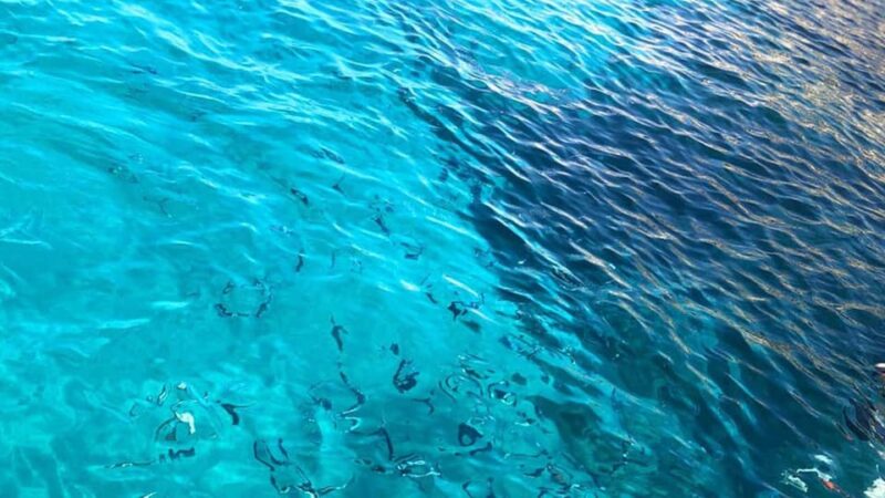 Marseille: Calanques National Park Eco-Friendly Cruise - Key Points