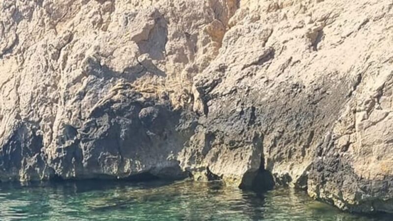 Marseille: Calanques National Park Eco-Friendly Cruise - Highlights and Experiences: Discovering the Parks Natural Wonders