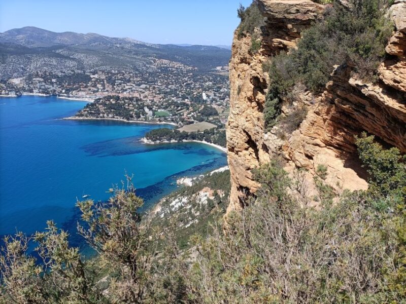 Marseille - Cassis Full-Day Tour - Customer Reviews and Feedback