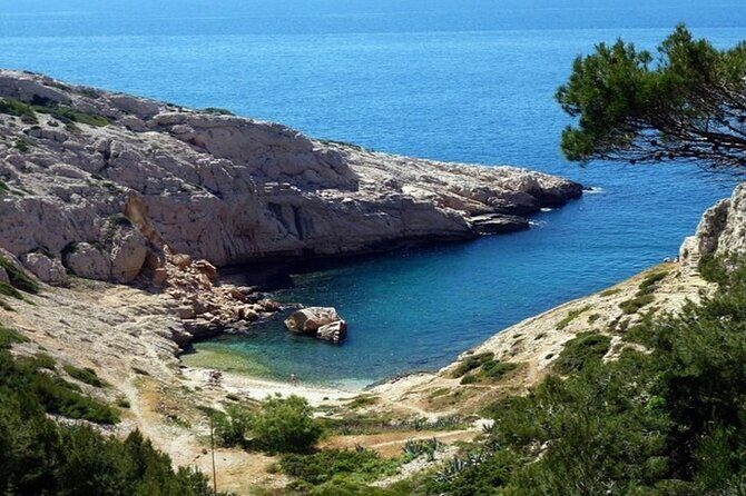 Marseille Old Port And Panier District Walking Tour - What Reviewers Say