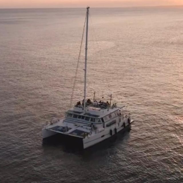 Marseille: Sunset Catamaran Cruise, Dinner & Drinks - Frequently Asked Questions