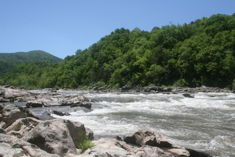 Marshall: French Broad Whitewater River Rafting Experience - Highlights of the Adventure