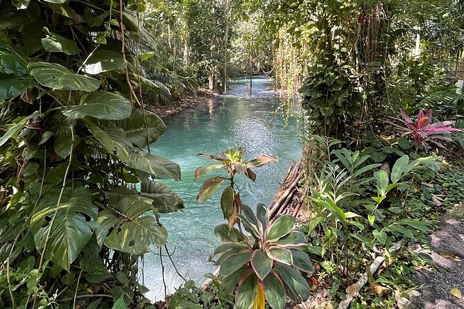 Martha Brae Bamboo Rafting Tour From Montego Bay - Tour Logistics and Scheduling