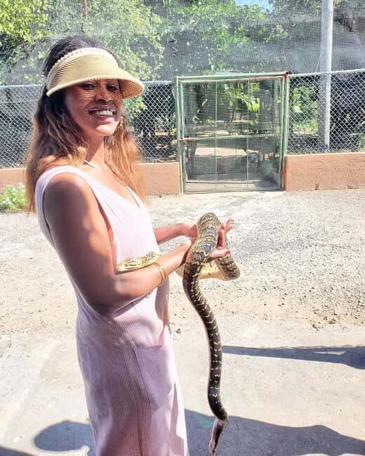 Martha Brae River Bamboo Rafting and Swamp Safari Day Tour - Final Thoughts