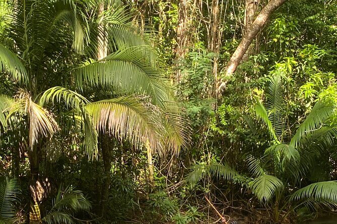 Martha Brae River Bamboo Rafting Experience from Montego Bay - The Sum Up