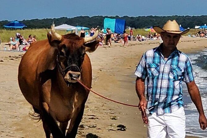 Martha Vineyard Bus Tour - An In-depth Look at the Martha’s Vineyard Bus Tour