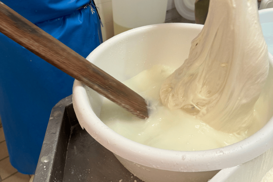 Martina Franca: Mozzarella and Pasta Workshop with Farm Tour - Key Points