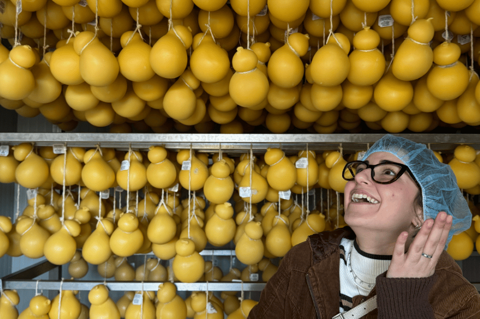 Martina Franca: Mozzarella and Pasta Workshop with Farm Tour - Final Thoughts: Is It Worth It?