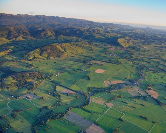 Martinborough Wine and Wild Coast Tour From Wellington - Activities Along the Tour