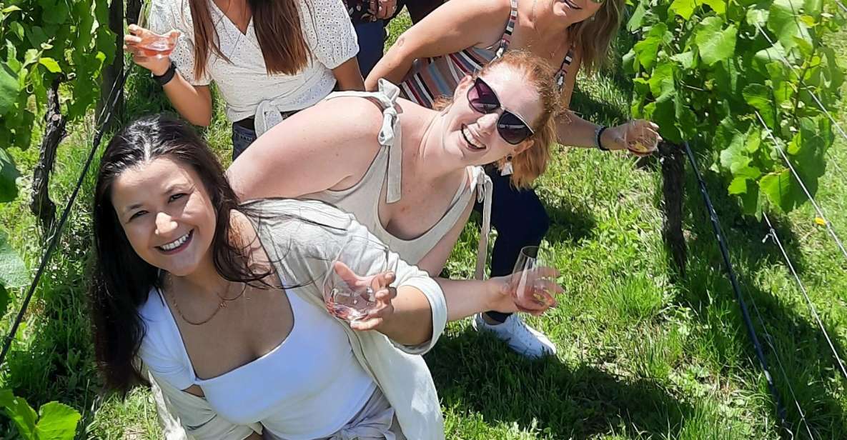 Martinborough Winery Tour - Key Points