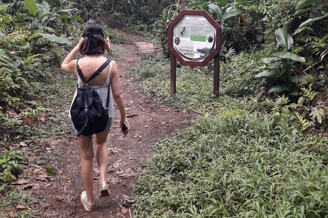 Martinique North Island Private Tour - A Closer Look at What You’ll Experience