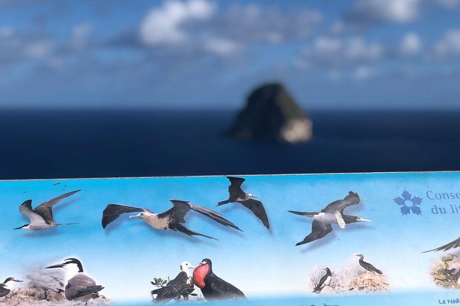 Martinique Shore Excursion - Authentic Tour of Southern Martinique - Exploring the Itinerary in Detail