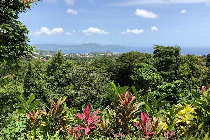 Martinique Shore Excursion - Unmissable Martinique North tour - FAQs