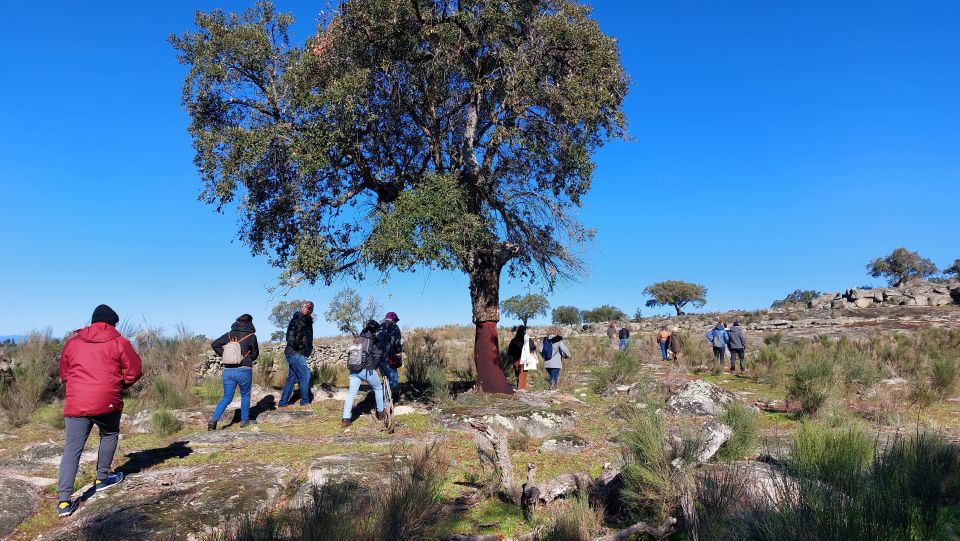 Marva: Megalithic Monuments Private Tour With Hotel Pickup - Highlights
