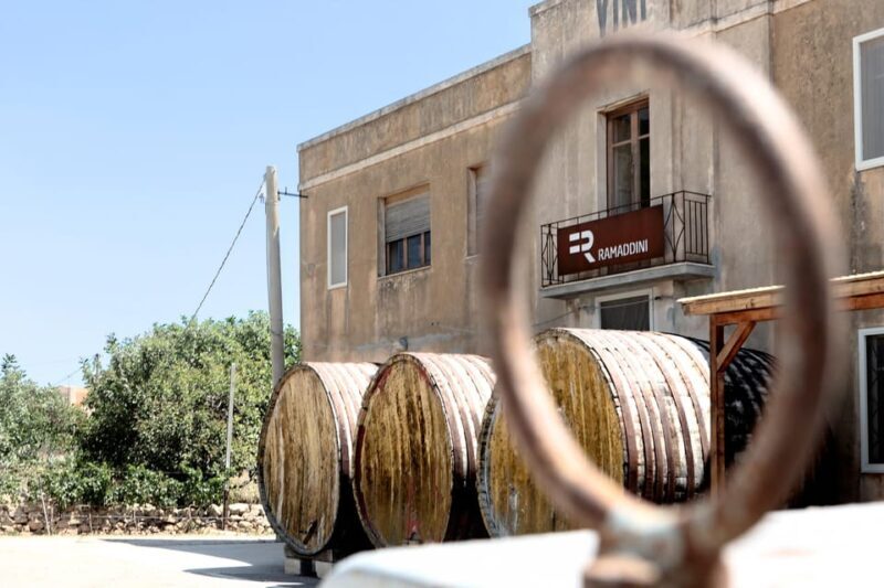 Marzamemi: Dioniso Wine Tour, Tasting & Typical Dishes - Educational Exploration