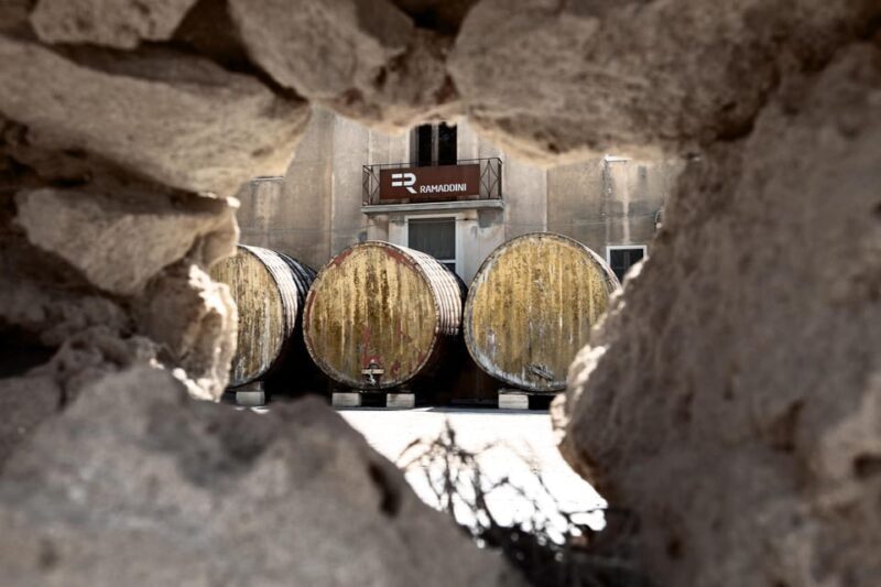 Marzamemi: Dioniso Wine Tour, Tasting & Typical Dishes - Final Words