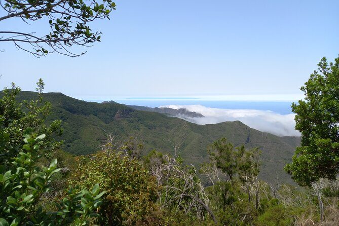 Masca from above - A Deep Dive into the Experience