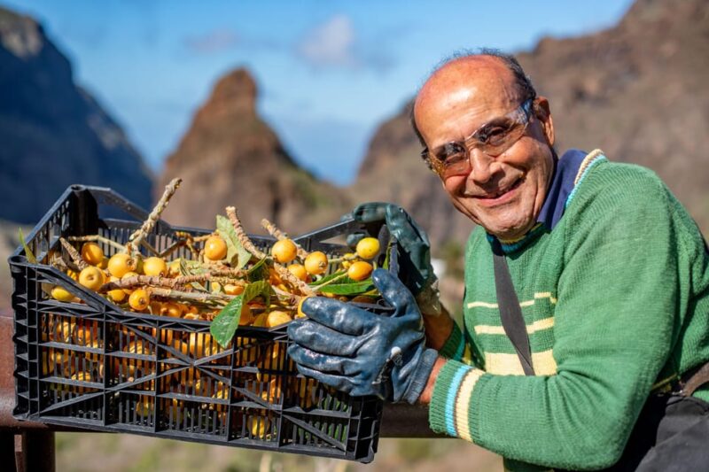 Masca - Garachico - Teide Discovery Walks - Recommended Attire and Essentials