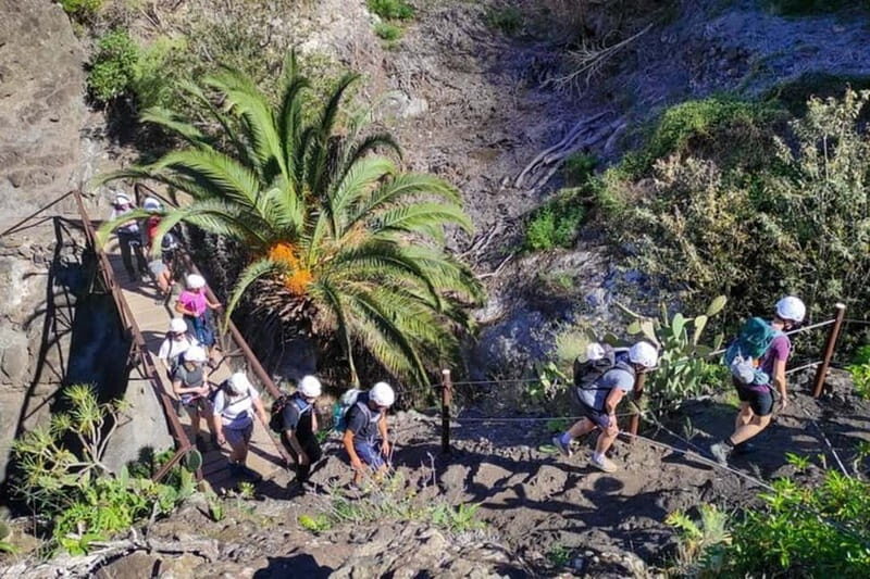 MASCA GORGE Trail: Guided Hike - Exploring the Masca Gorge Trail: A Guided Hike Through Tenerife’s Wild Heart