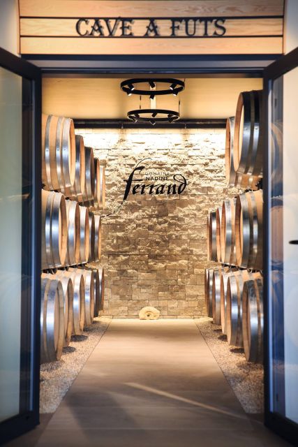 Mason: Visit and Tasting of the Estates Wines - Vineyard Location