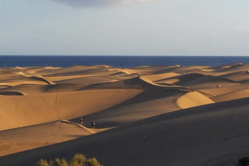 Maspalomas: 1 Hour Segway Sightseeing Tour - Authentic Insights and Authenticity