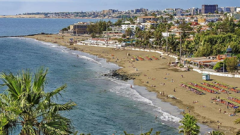 Maspalomas: 1 Hour Segway Sightseeing Tour - Who Will Love This Tour?