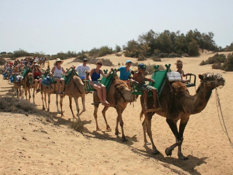 Maspalomas: 2-Seater E-Scooter Dunes Tour /Optional Camel - E-Scooter Experience