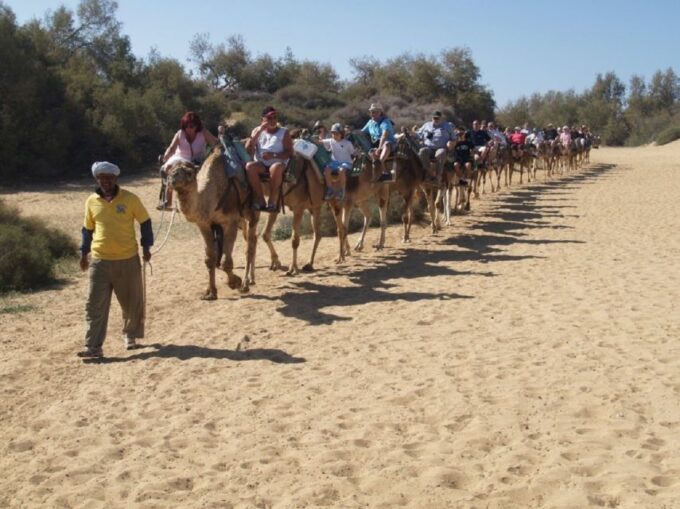 Maspalomas: 2-Seater E-Scooter Dunes Tour /Optional Camel - Birdwatching at the Botanical Park
