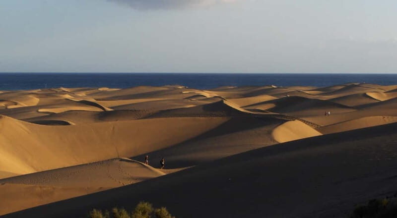 Maspalomas: 2-Seater E-Scooter Dunes Tour with Camel - What the Reviews Say