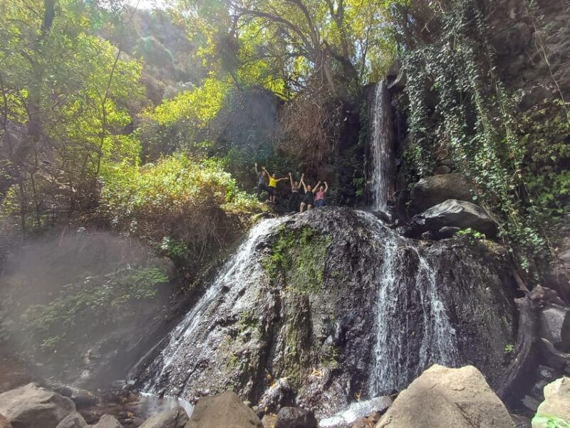Maspalomas: Barranco De Los Cernicalos Rainforest Hike - Booking and Reservation