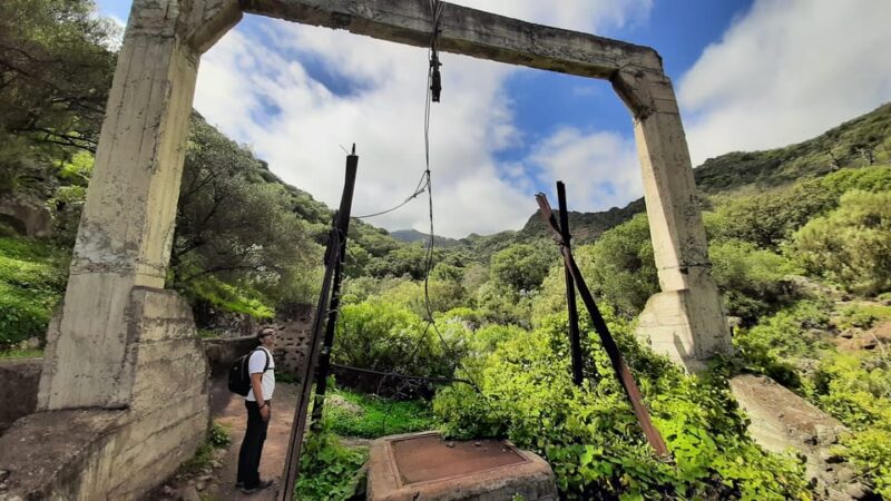 Maspalomas: Barranco De Los Cernicalos Rainforest Hike - Hiking Itinerary