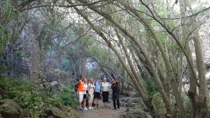 Maspalomas: Barranco De Los Cernicalos Rainforest Hike - Customer Reviews