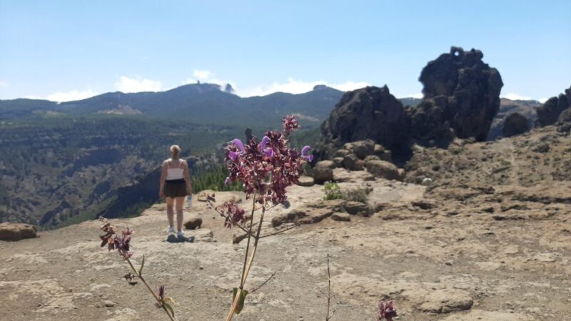 Maspalomas: Hiking to Roque Nublo With 2 Authorized Guides - Inclusions and Recommendations