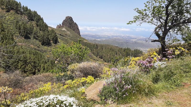 Maspalomas: Hiking to Roque Nublo With 2 Authorized Guides - Exploring Roque Nublos Breathtaking Views