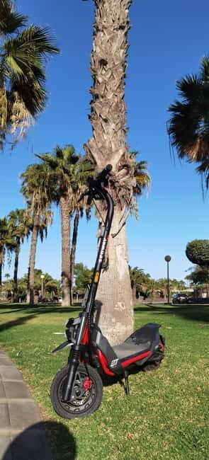 Maspalomas & Playa del Ingles: Guided Electric Segway Tour - Practical Details and Value