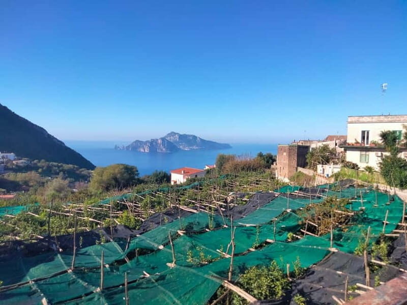 Massa Lubrense: Two Coasts Tour with a Private Driver - Who Should Consider This Tour?