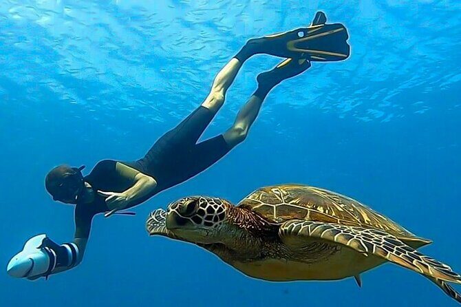 Massage service, wellness & well-being, relaxation - Authenticity and Local Touch