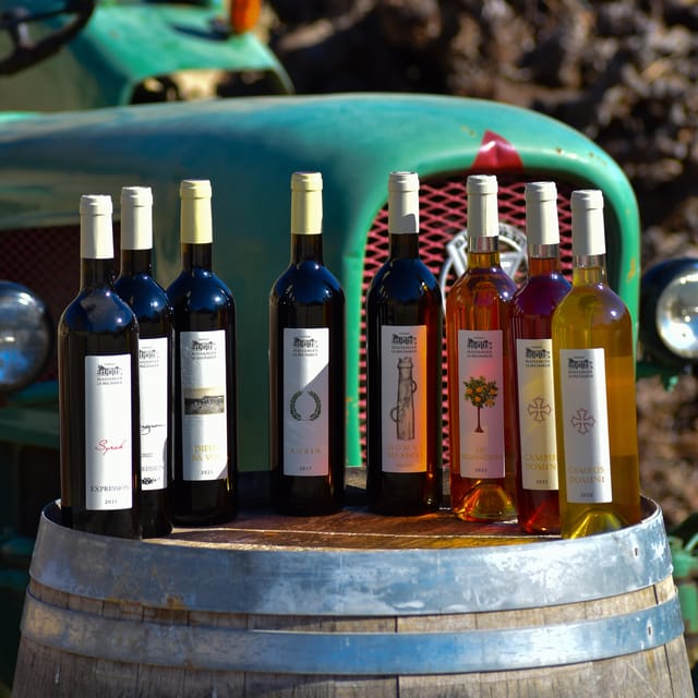 Massmamier La Mignarde: Wine Tasting - Experience Details